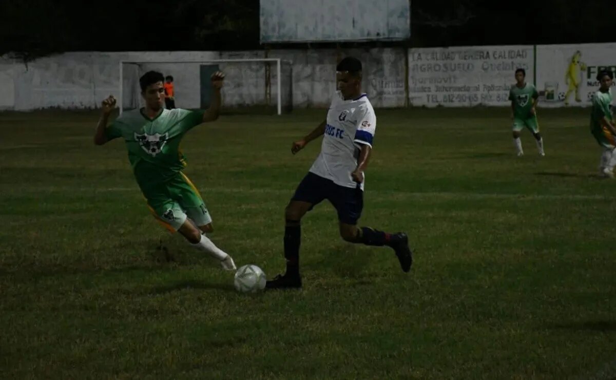 iguanas_crop1604814089271.jpg_2134087089