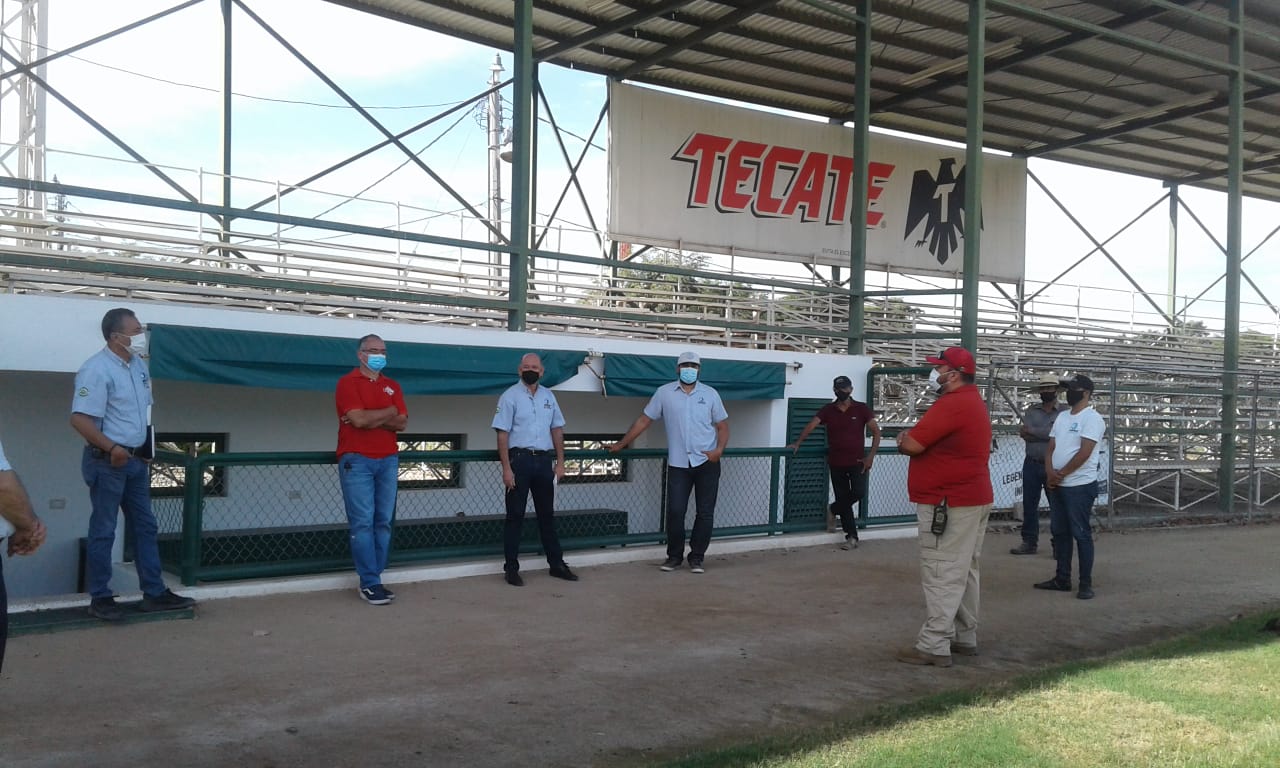 WhatsApp Image 2021-03-16 at 13.16.52