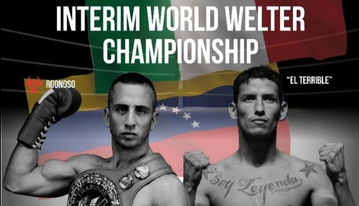 wp-16148809782386382541672764938302 (1)