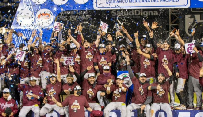 WhatsApp-Image-2021-01-30-at-11.24.30-PM-865×500