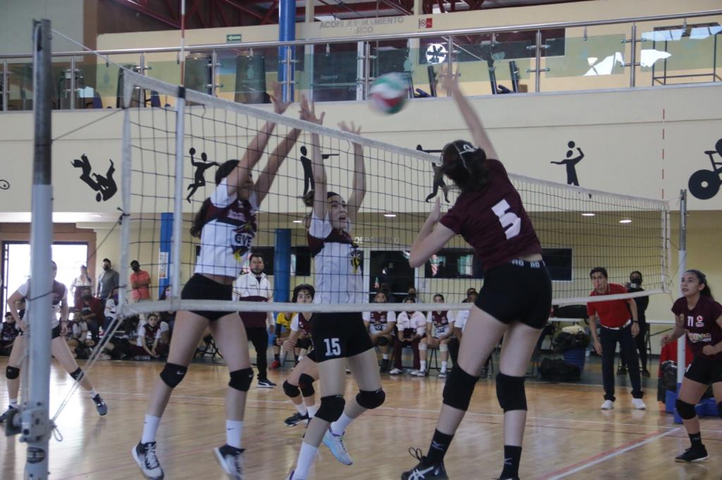 WhatsApp Image 2022-02-21 at 1.44.52 PM