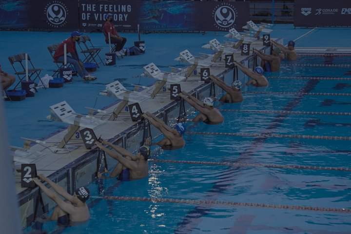 FB_IMG_1649786324268