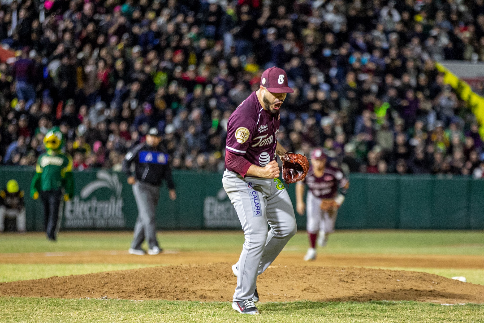 84064732_2649838068396976_8050201702772506624_n