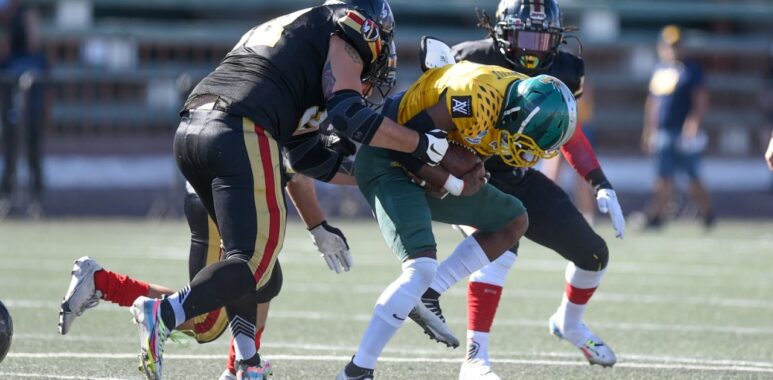 WhatsApp-Image-2022-05-21-at-10.34.52-PM-773×380