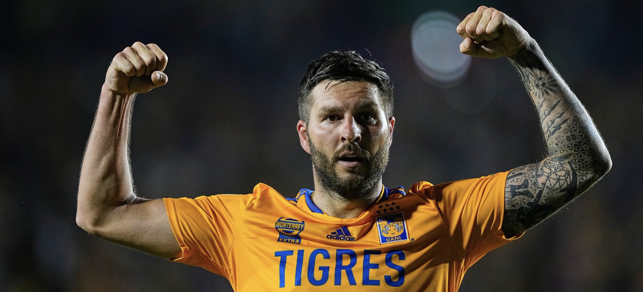 62D3D64C-950E-41D9-B0FA-331F440DB150