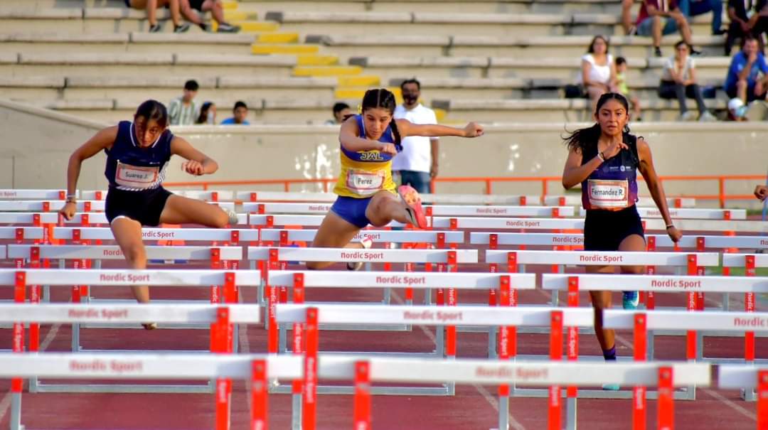 94443330-8E9B-4903-85DE-B6FF98B33B6C