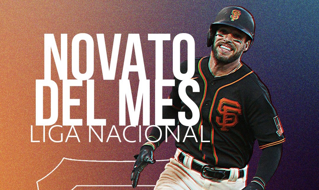 FF9252B1-A774-4C3C-8FCE-9B3EDB928D2E