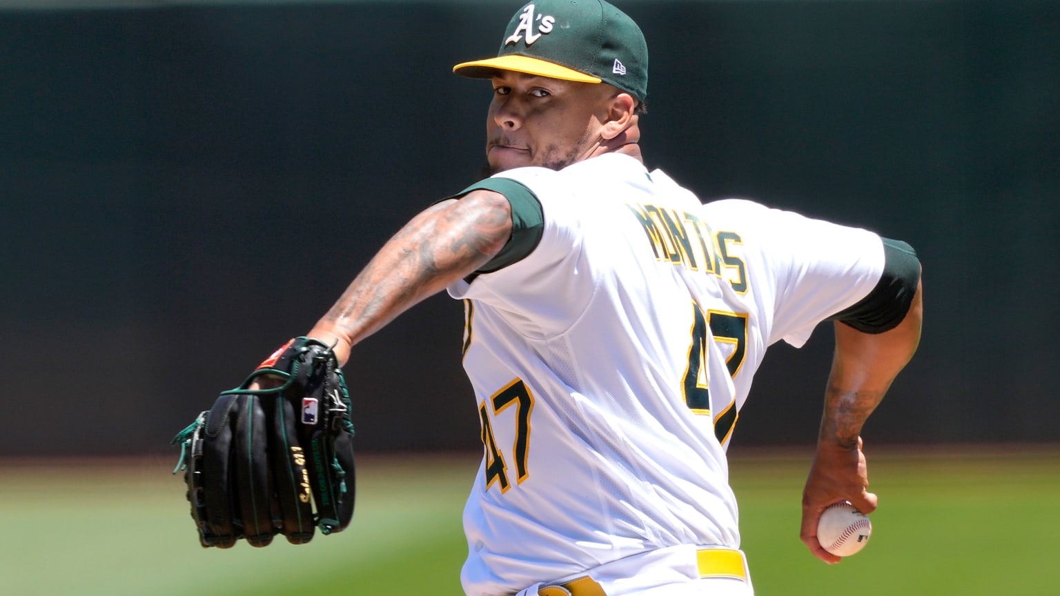 523A63BB-DD55-45D1-8621-C2A3ABACC74A