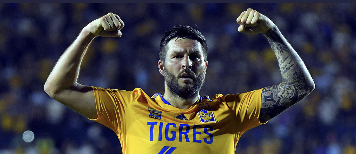 E3FD495A-FF55-455C-9F05-72CF7D2805AE