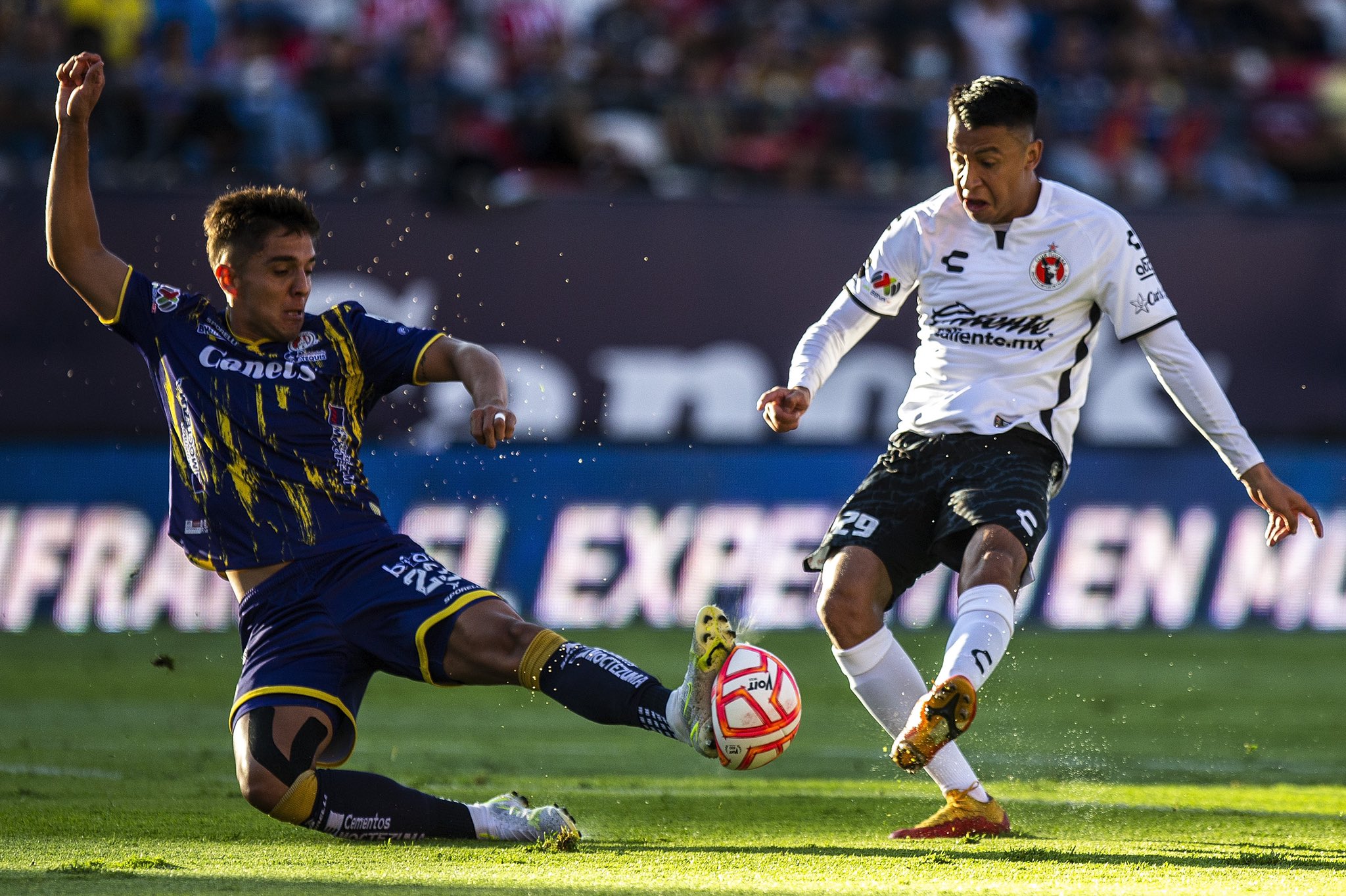 2E52B413-D581-4355-87A3-D10D7C0F6A91