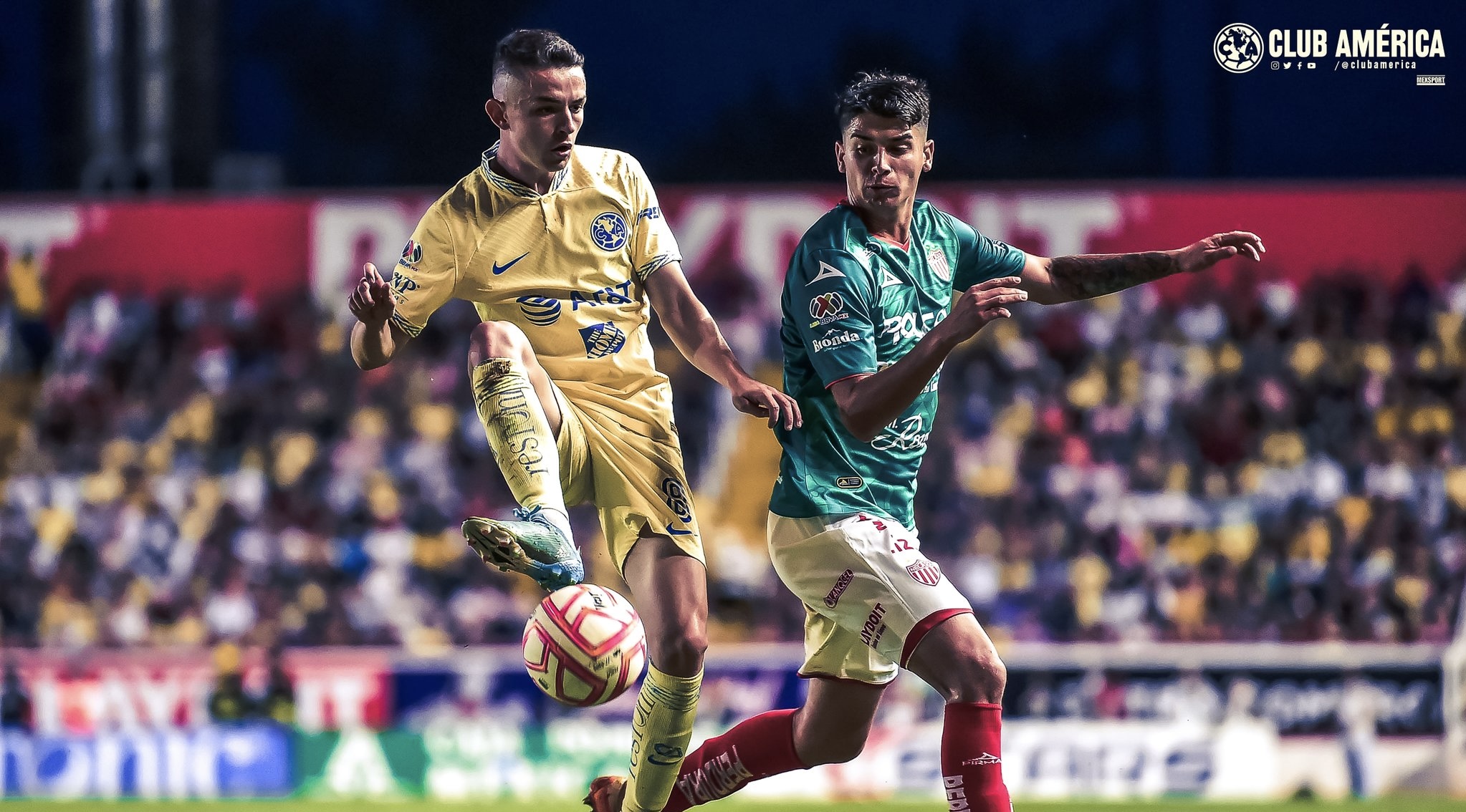 8667A7F0-D832-4E53-9D4A-FDE70B32D22F