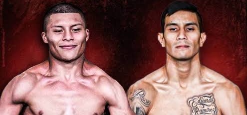 images (4)_edit_547089916164955