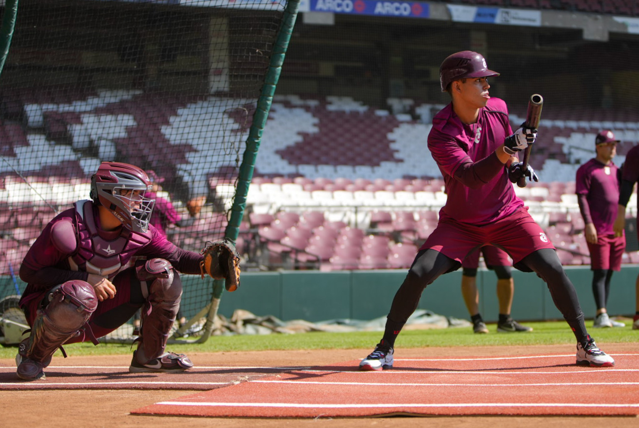 cab055c2-617a-7a49-b19e-f0af6d65c573