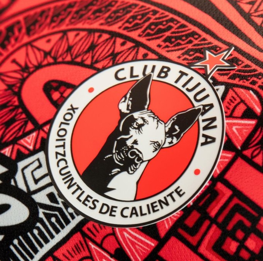 Screenshot_20221208_134006_Gmail