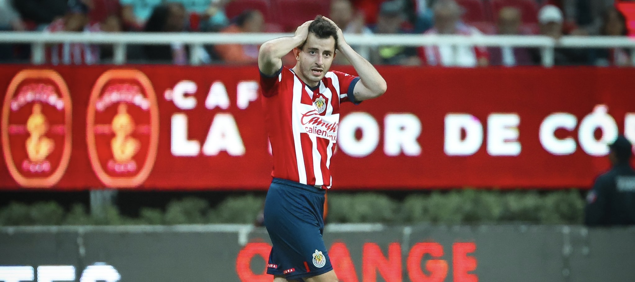 6B230CDA-B663-46D4-A97C-AB023F5D5CE0