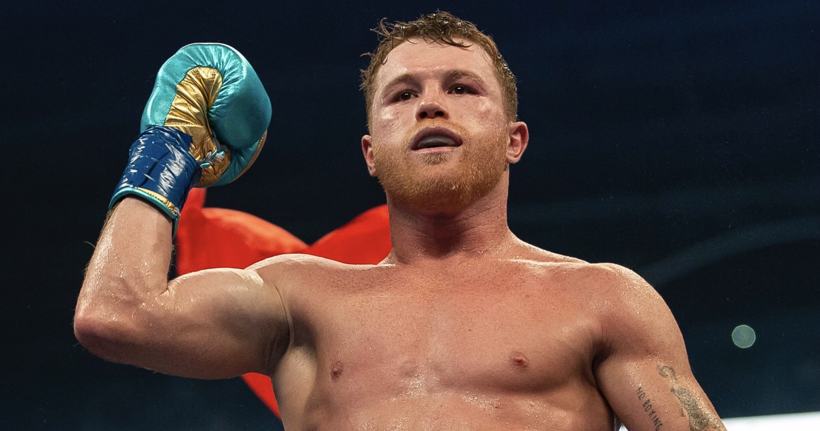 33D1181B-16E3-4348-9892-B85D0152A410