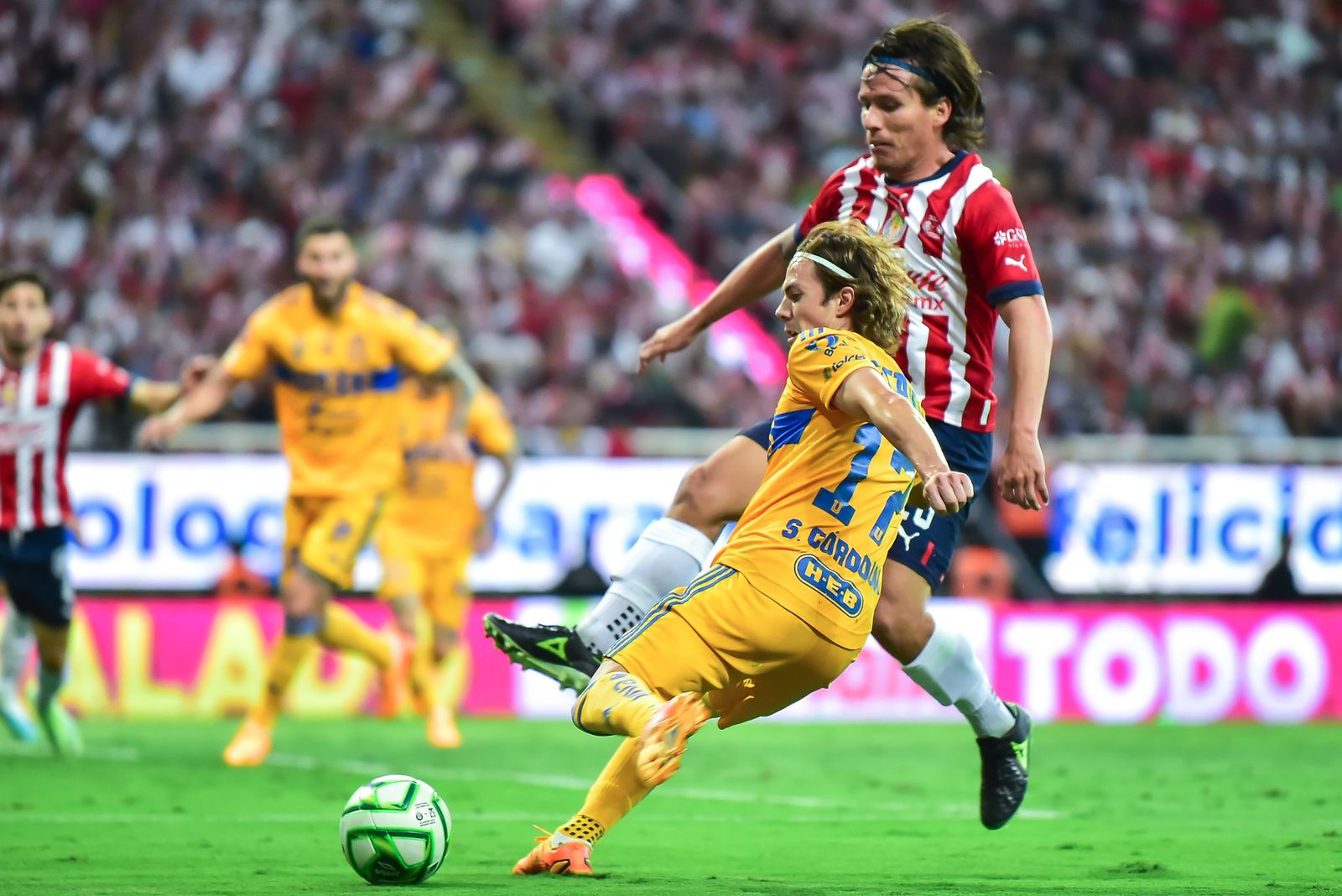 0e49ea5b-597b-45c8-8b1a-c860fbb528c3