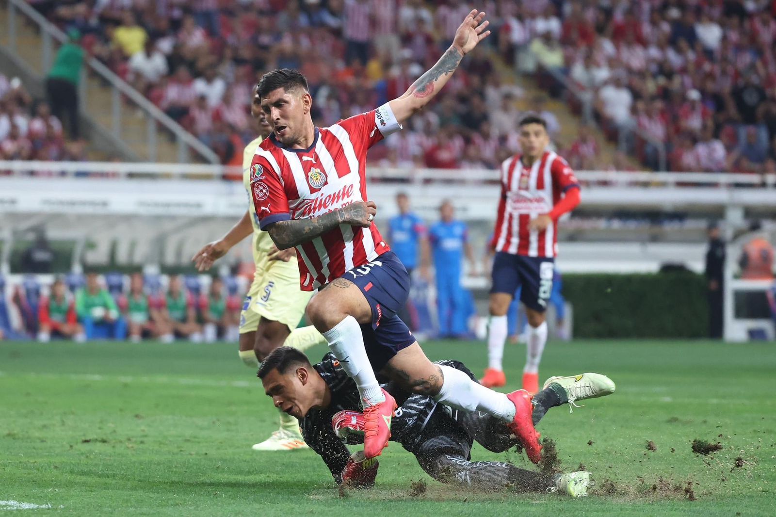 132884ec-7332-4bd4-be04-c0872f455e27