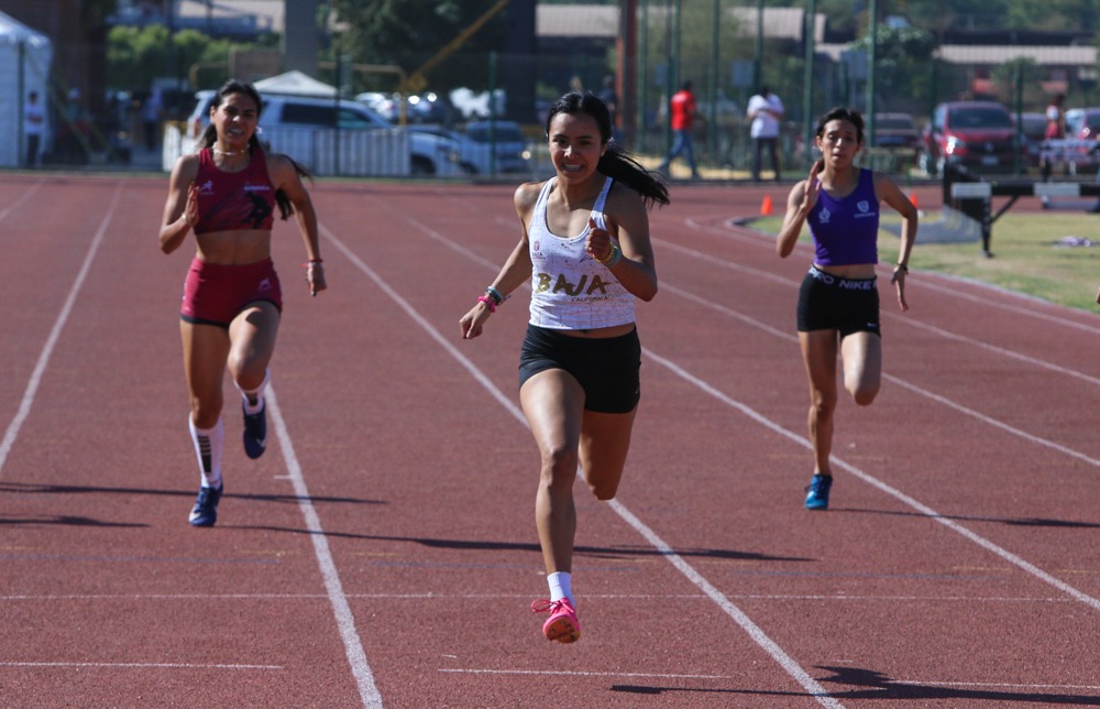 e1cac87f-4e24-4503-a6b9-72c6349dcd80