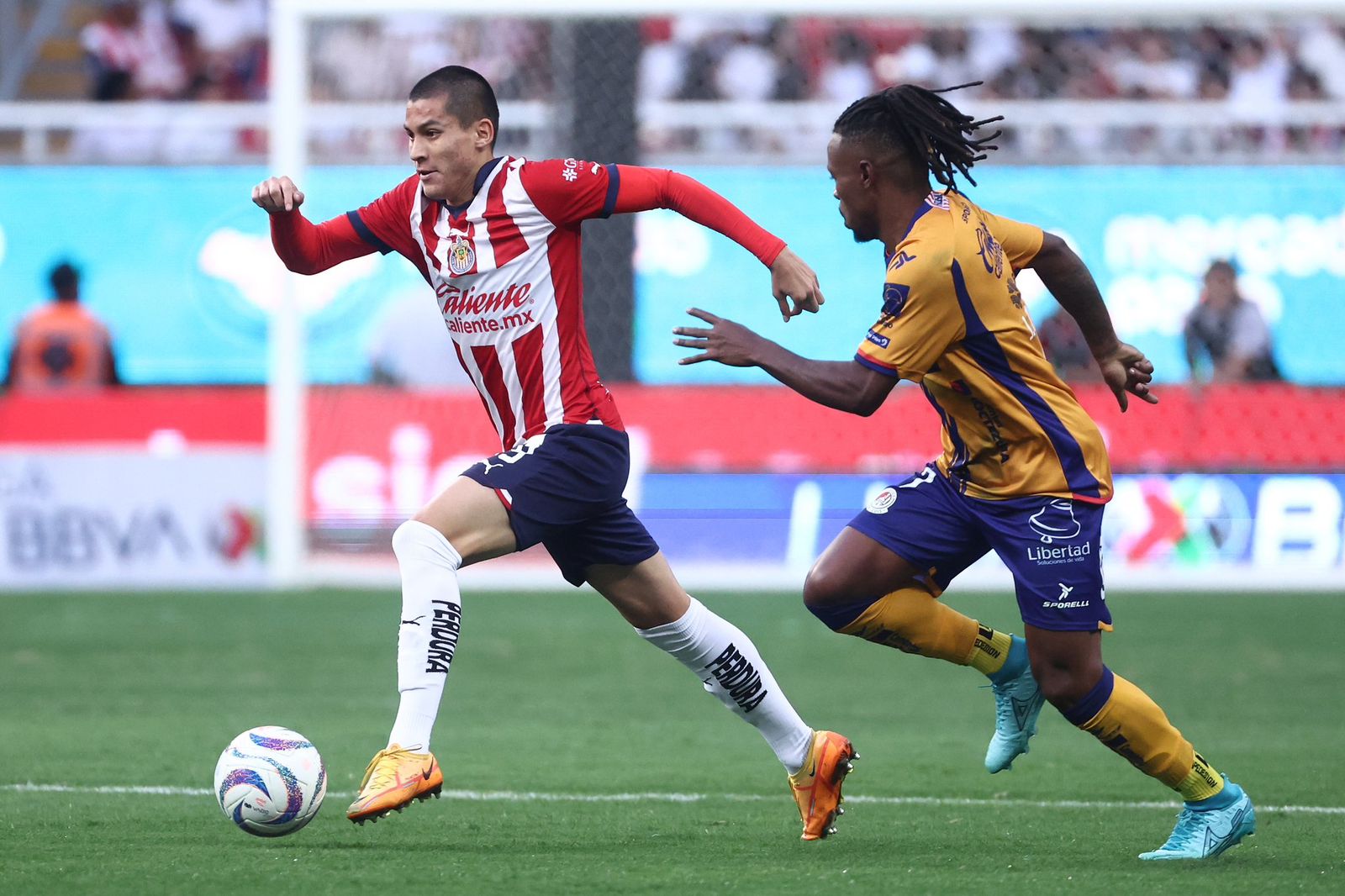 06223a8b-860b-4532-8c43-e580f5ebfcbb