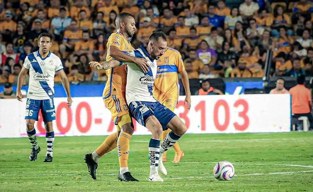 92b78585-f8dc-4002-bcfb-1a72367d6c42