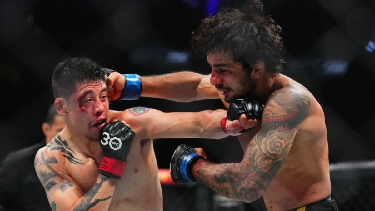 imagen_de_whatsapp_2023-07-09_a_las_08.46.19_1