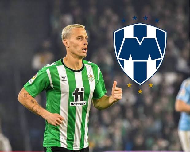 images – 2023-07-19T133313.145