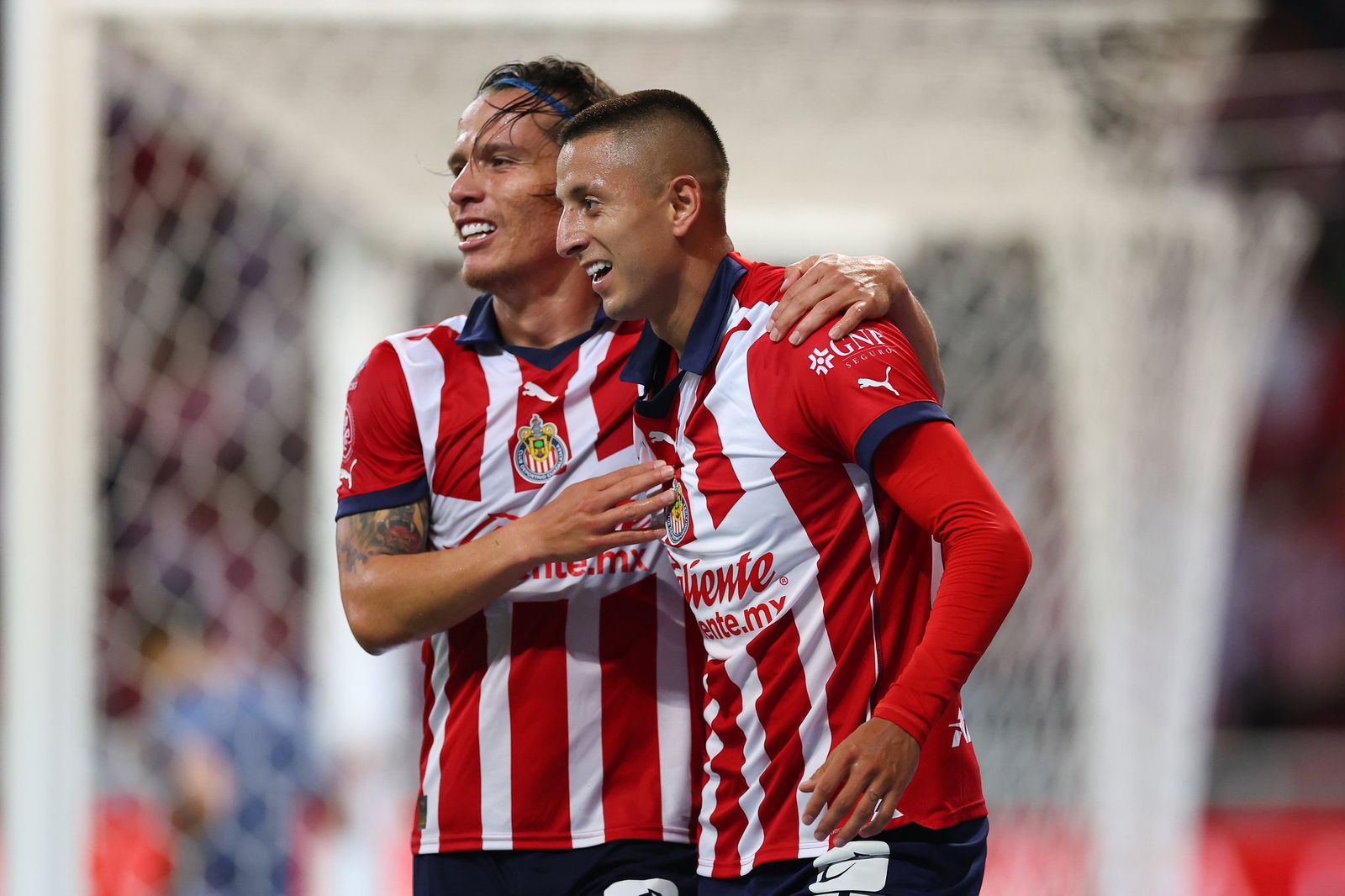 958d356f-ccfb-491a-bd4e-1c8cd7eafc23