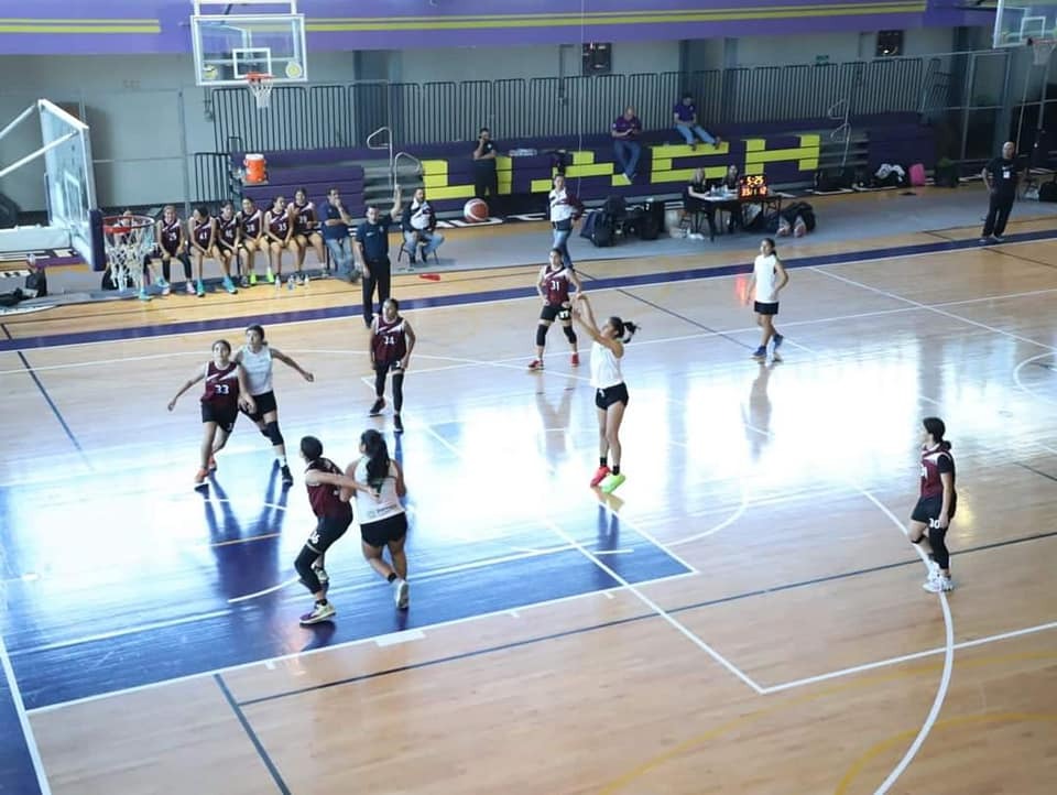 985b2c97-5c5c-4900-8e45-97b0b81dc10a