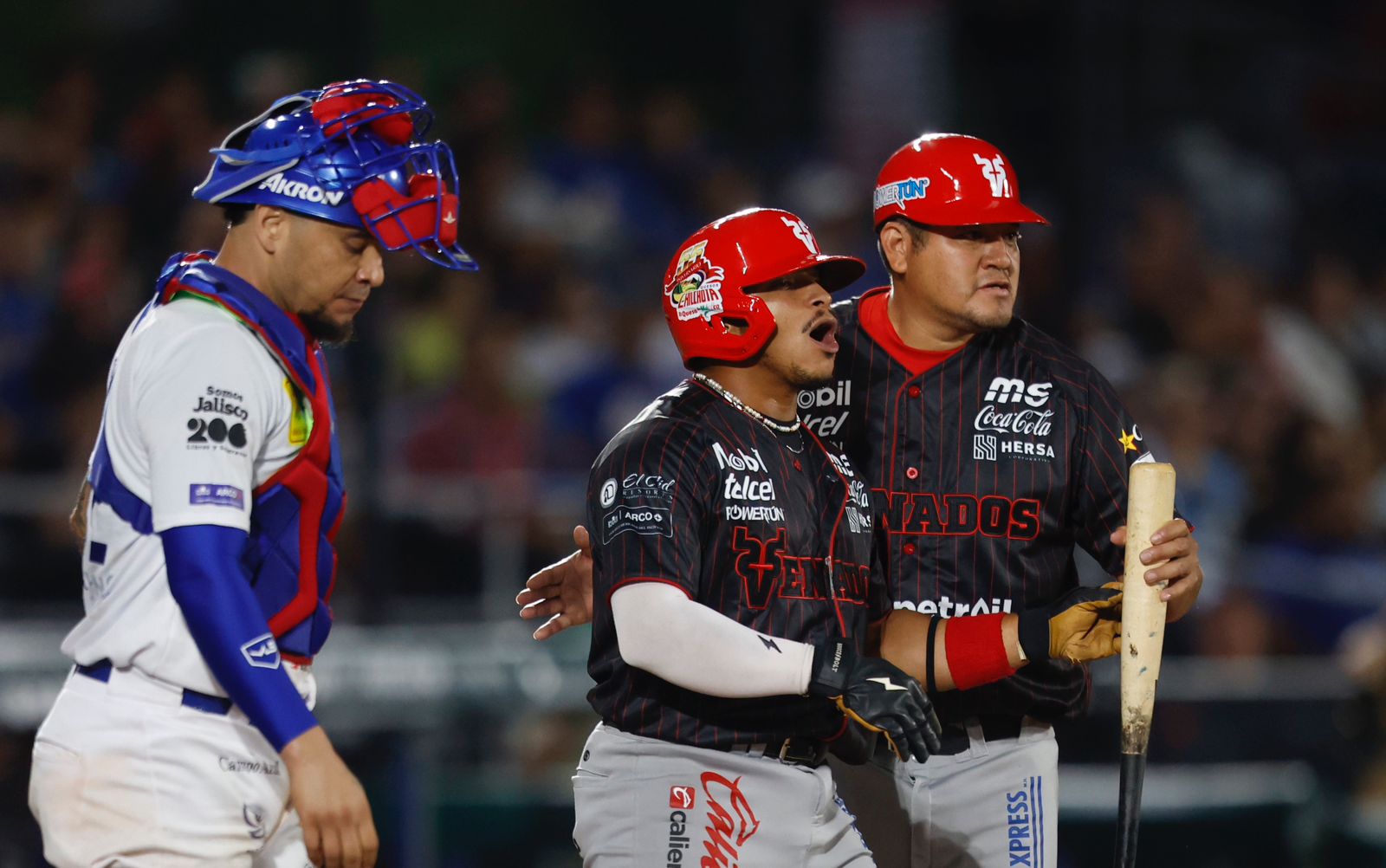 0044b609-3f66-4e8f-b4cd-a64391912fe5