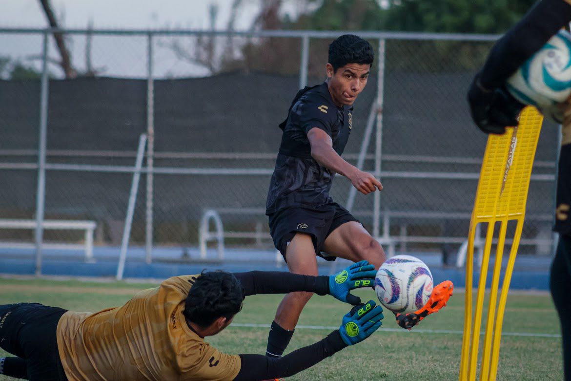 2534d43d-7220-4fa2-9278-286134383db9