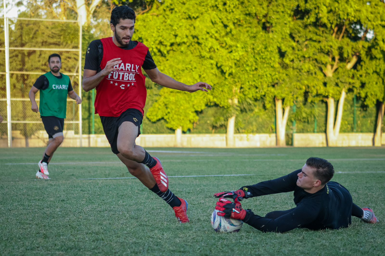 3426dded-08c8-4bcd-bda3-19a2af381a12